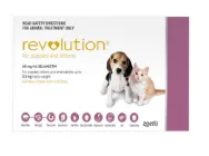 Revolution For Dogs  Flea and Tick Control  DiscountPetCare