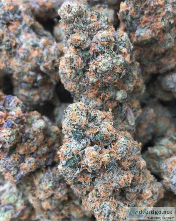 Top medicated flowers