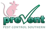 Get the best pest control services Bournemouth