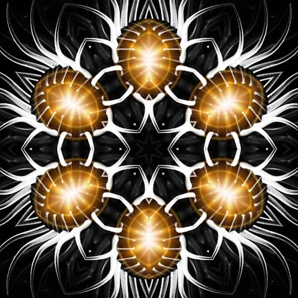 Kaleidoscope