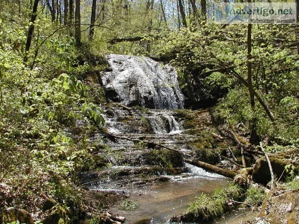 WATERFALL ON 1.5 ACRES