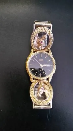 Gold Band Citizens Watch - Men s