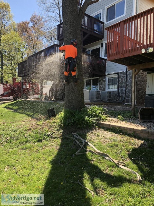 Tree Service in Bloomingdale NJ