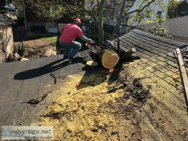 Tree Service in Prospect Park NJ