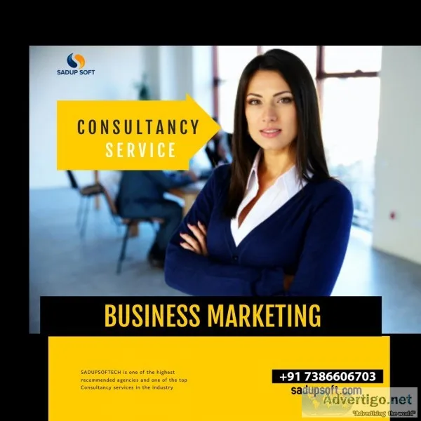 Business Consultancy Services