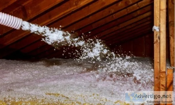 Davie Blown-in Insulation  Americaninsulationco .com