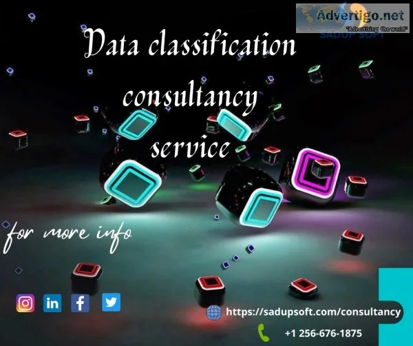 Data classification consultancy service
