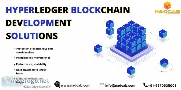 Hyperledger development