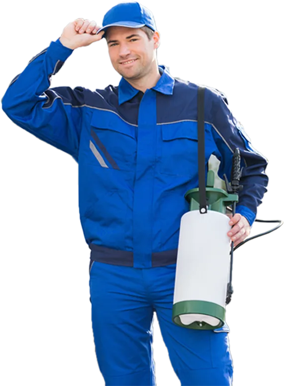 Pest Control Service in Dwarka