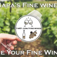 Wine accessories gift sets