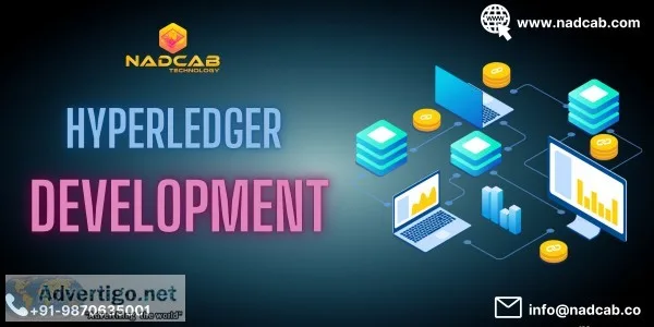 Hyperledger development