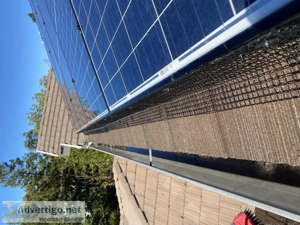Solar Panel Cleaning Solar Panel Pigeon Proofing