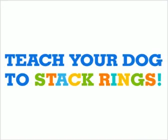 Quick tips to a smarter dog