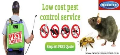Pest Control Delhi