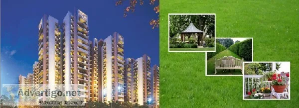 Get your New Homes in Apex Floral Aura Noida Extension.