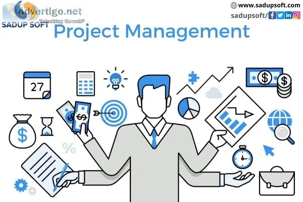 Project Management Consultants