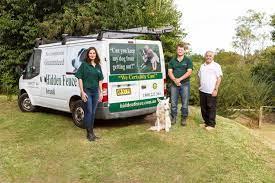 Online Buy Dog Fence