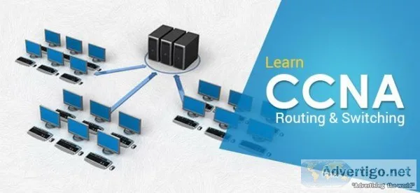Best Institute for CCNA Training Course in Gurgaon
