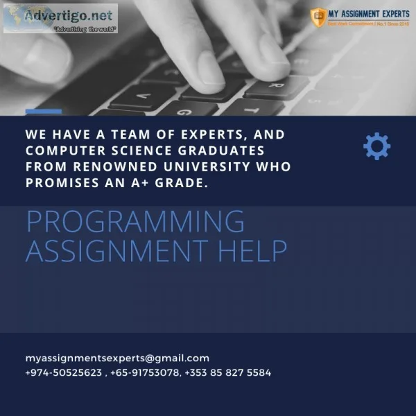 Programming Assignment Help  Programming Homework Help