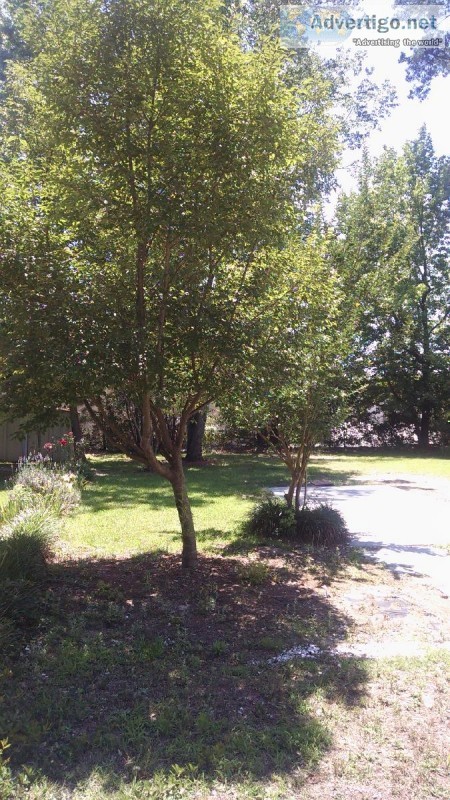 MOBILE HOME LAND FOR RENT