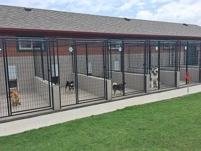 Best Pet Boarding Kennels-OKC Vera s Posh Paws.