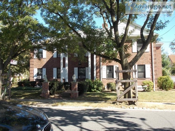 (ID1399664) All Newly Renovated 1 Bedroom Apartment For Rent In 