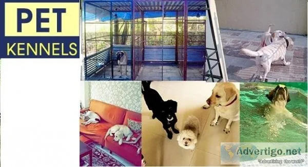 Best Boarding Kennels-OKC-MOORE Vera s Posh Paws.