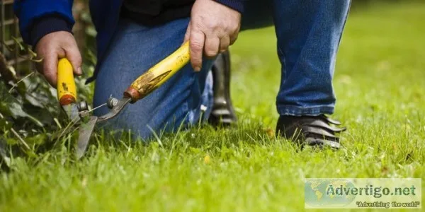 Melbourne landscapers