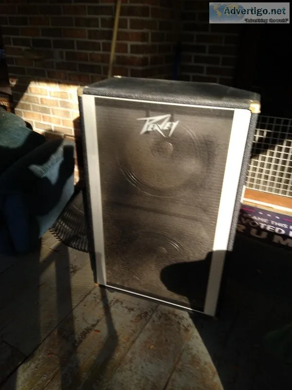 Peavey 215 bass cabinet