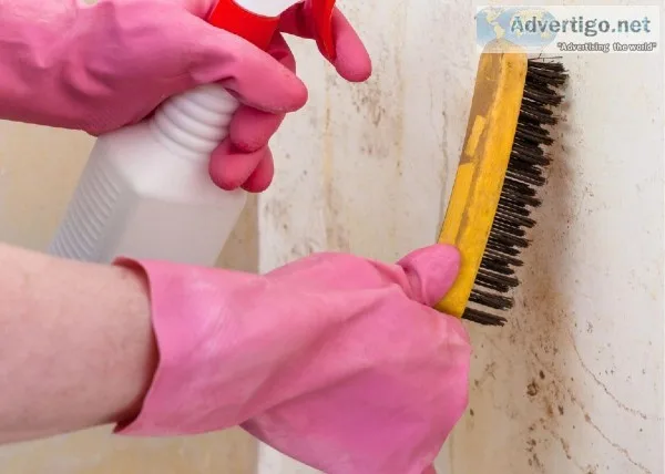 Mold Testing Baton Rouge