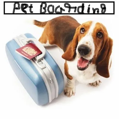 Vera s Posh Paws-OKC Professional Pet Boarding.