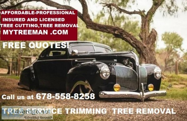 My Tree Man Tree Service now offers its tree removal services to