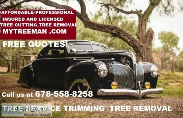 My Tree Man Tree Service now offers its tree removal services to