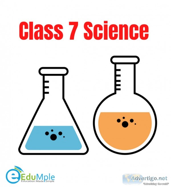 Class 7 Science