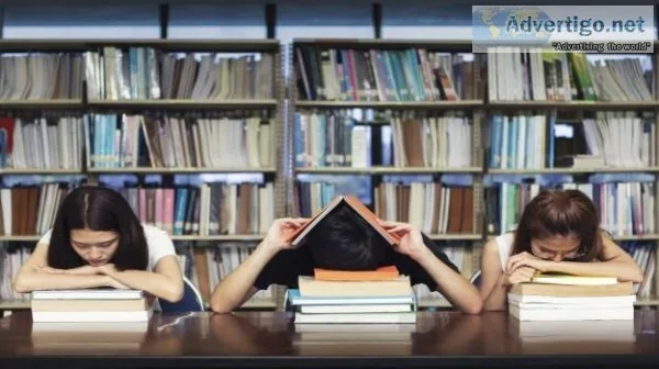 Assignment help experts