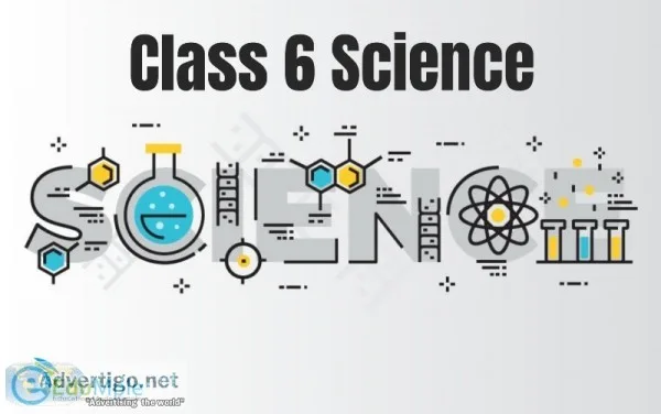 Class 6 Science
