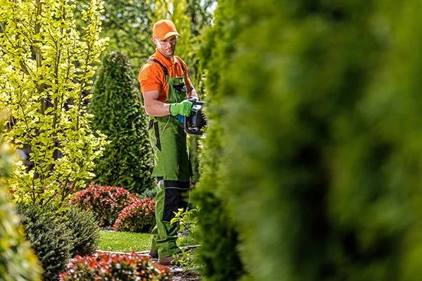 SG Tree Services - Reliable Garden Maintenance Services in Aberd
