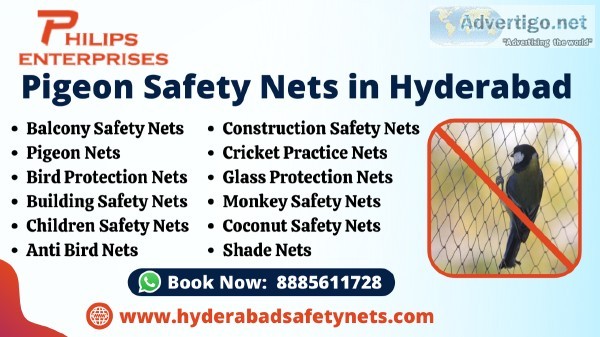 Pigeon Safety Net in Hyderabad