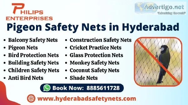 Pigeon Safety Net in Hyderabad