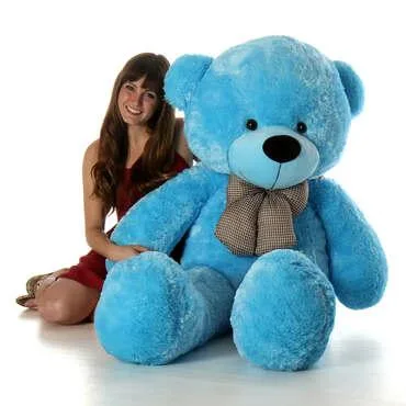 Make Everyday Cool with Cool Teddy Bears