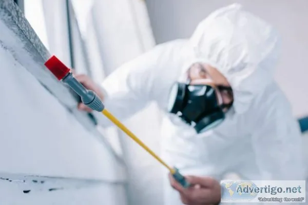 Schedule An Appointment With Pest Control Expert in Laredo