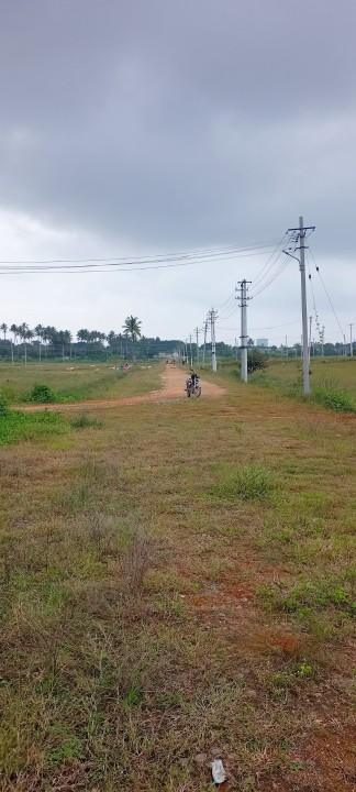 Agricultural land on sale(off Sarjapur-Attibele Rd)