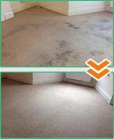 Carpet Cleaning Kingwood Texas