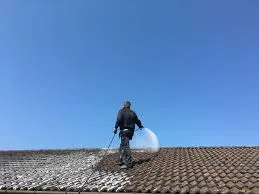 Professional roof cleaning miami