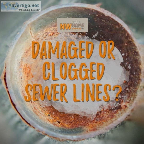 Clogged Drain Cleaner
