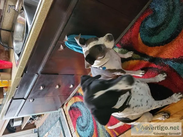Owner passed away