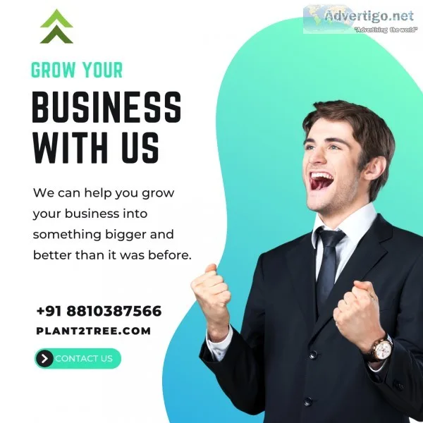 Our google ads services - plant2tree
