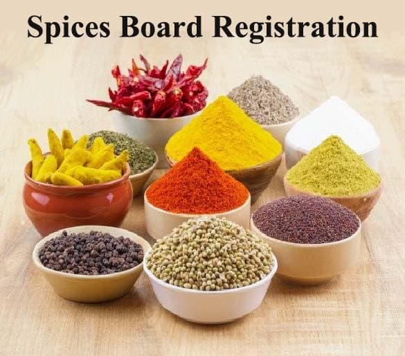 Spices board registration