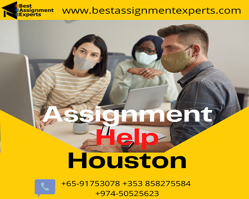 Professional Assignment help Services in Houston USA.