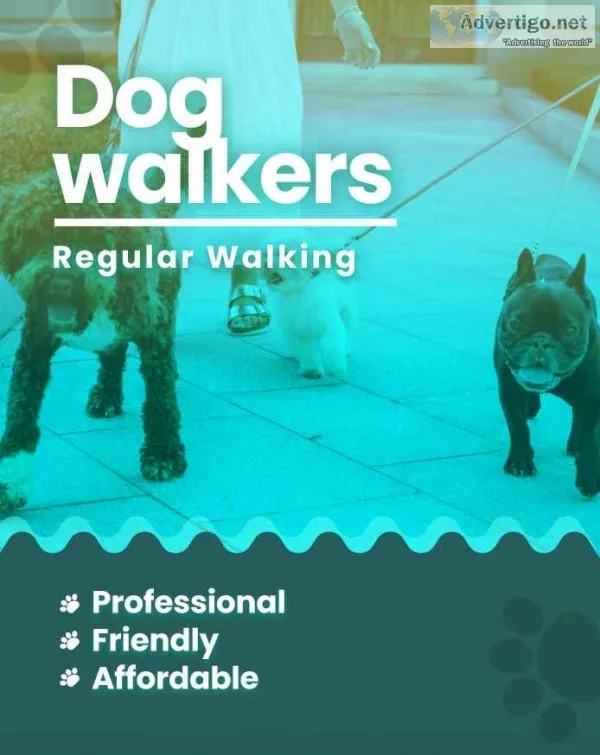 Book secured and verified dog walkers in jaipur | mr n mrs pet